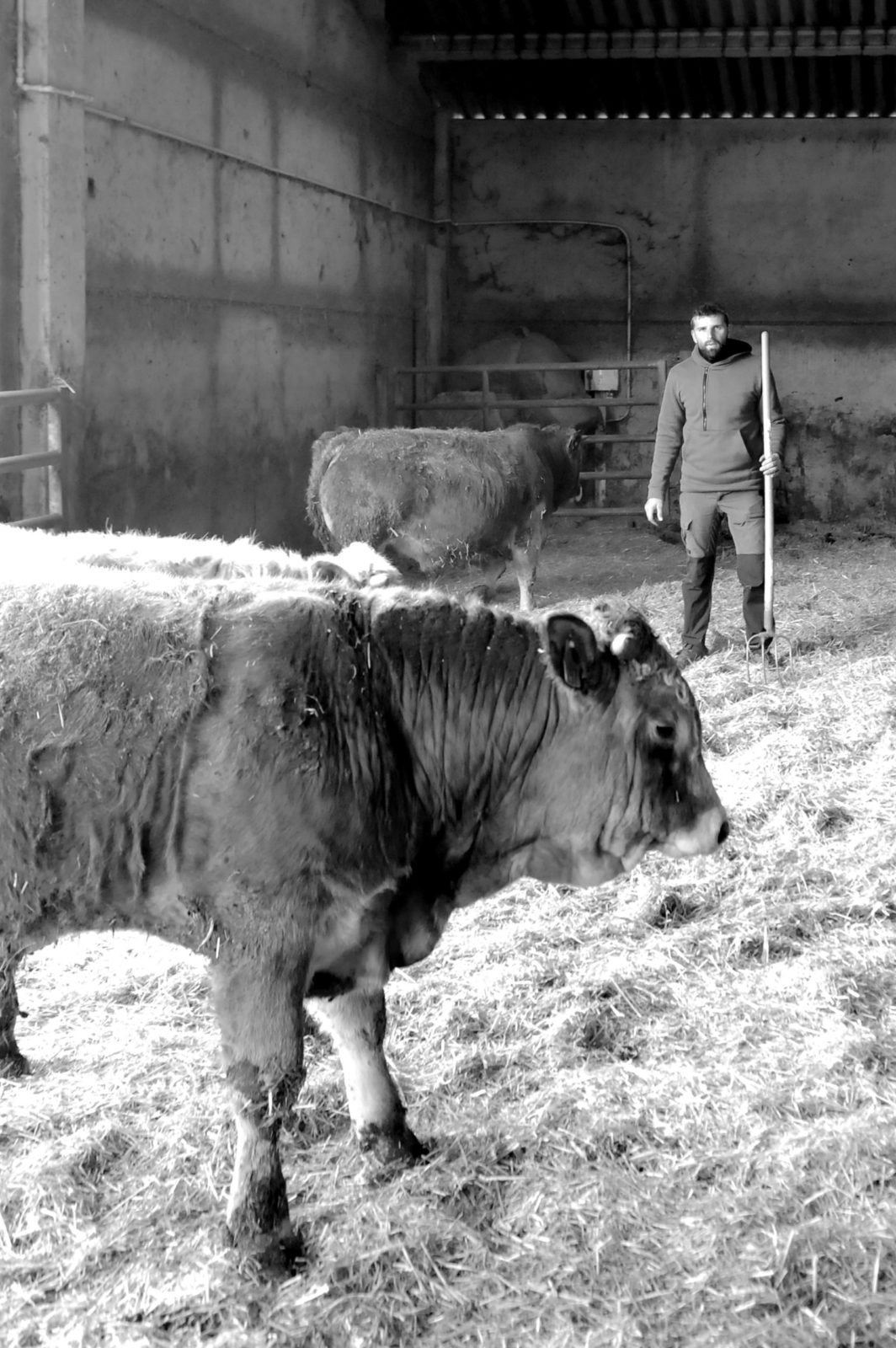 Les éleveurs de la Maison Pouget | Boucherie - Charcuterie à Bourg-Madame et Err - Pays Catalan - Cerdagne