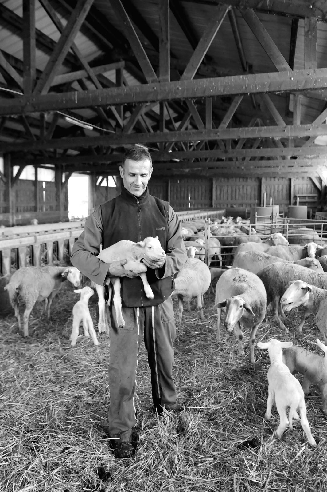 Les éleveurs de la Maison Pouget | Boucherie - Charcuterie à Bourg-Madame et Err - Pays Catalan - Cerdagne